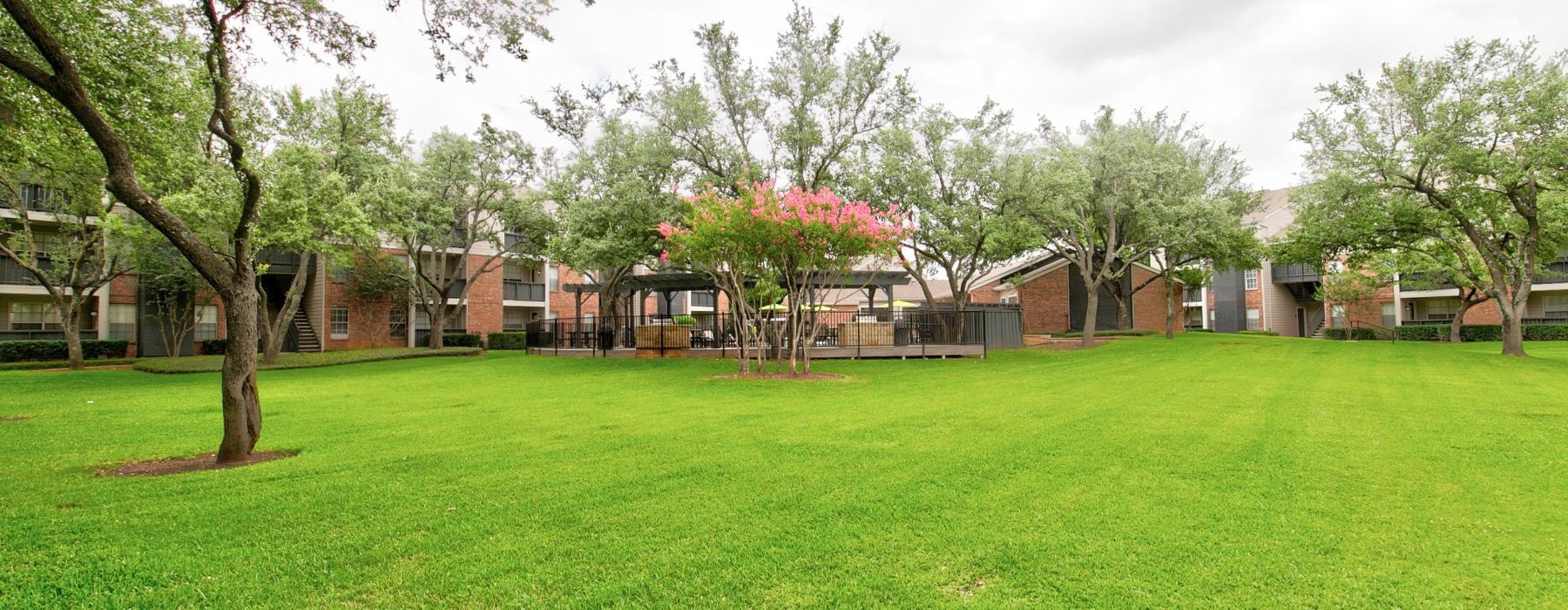 a grassy area with trees and buildings in the background